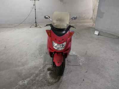 Yamaha Majesty 250C