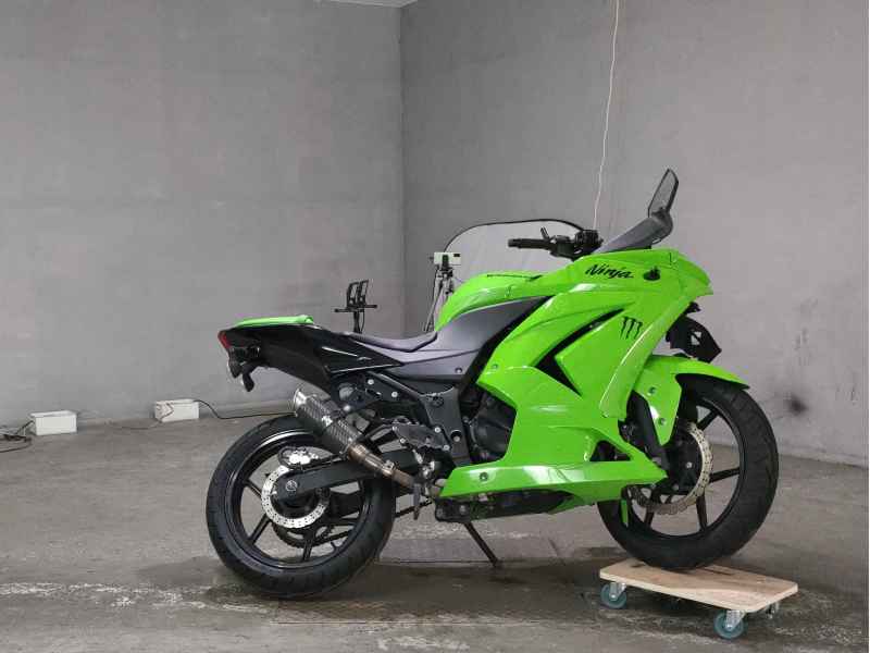 Kawasaki Ninja 250R 2010