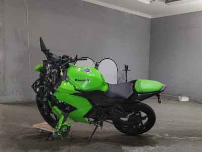 Kawasaki Ninja 250R 2010