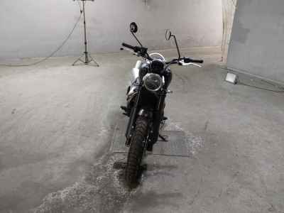 Triumph Scrambler 1200 XE 2024