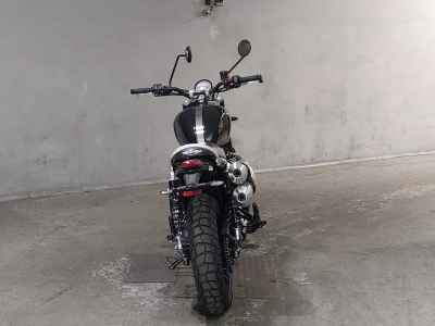 Triumph Scrambler 1200 XE 2024