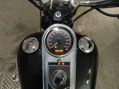 Harley-Davidson FLSTSC1450 2006