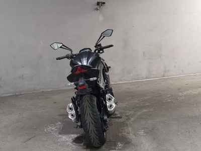 Kawasaki Z1000 2019