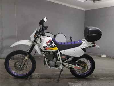 Suzuki DR250R