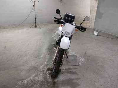 Suzuki DR250R