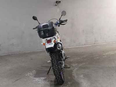 Suzuki DR250R