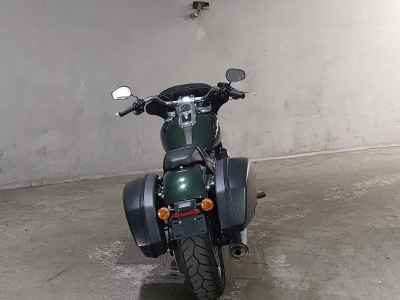 Harley-Davidson FLSB1750 2019