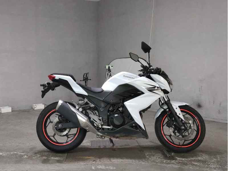 Kawasaki Z250 2013