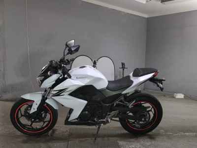 Kawasaki Z250 2013