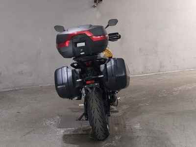 Triumph Tiger Sport 800 2025