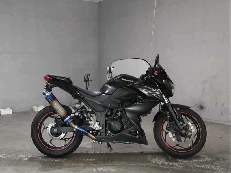 Kawasaki Z250 2013