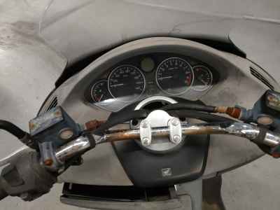 Honda Forza X