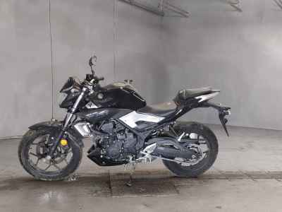 Yamaha MT-25 2016