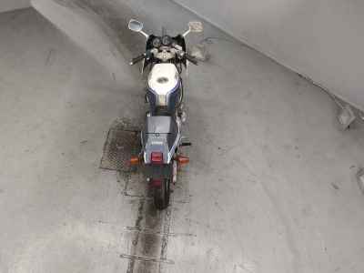 Yamaha FZR250