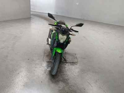 Kawasaki Z250SL 2016