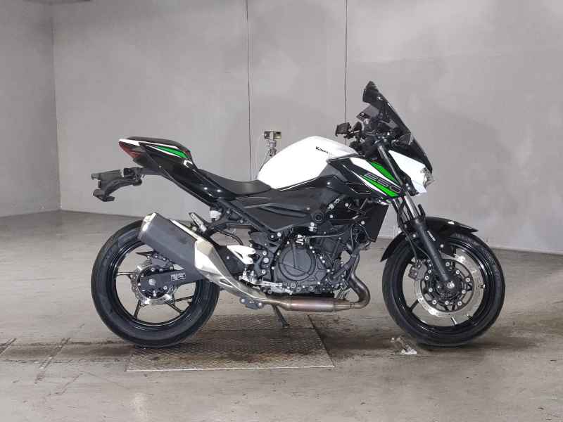 Kawasaki Z250 2019