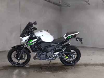 Kawasaki Z250 2019