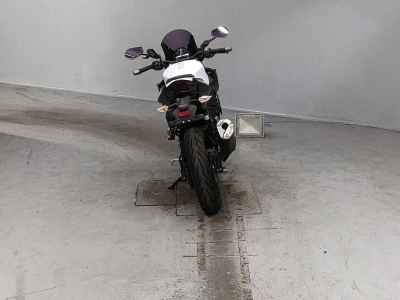 Kawasaki Z250 2019