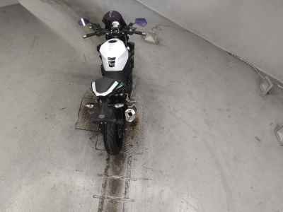 Kawasaki Z250 2019