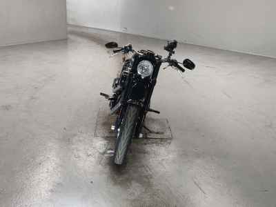 Harley-Davidson Roadster XL1200CX 2016