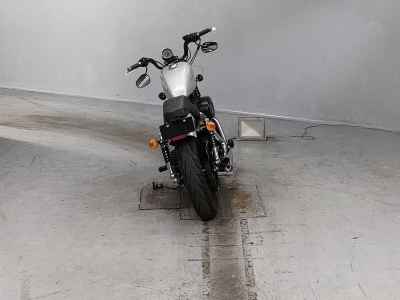 Harley-Davidson XL883N 2009