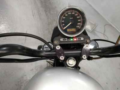Harley-Davidson XL883N 2009