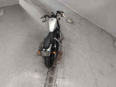Harley-Davidson XL883N 2009