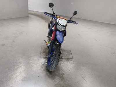 Kawasaki D-Tracker 250 X