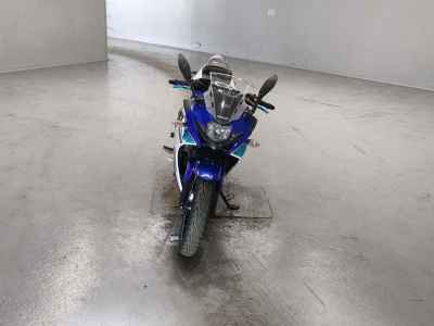 Suzuki GSX250R