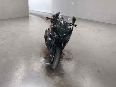 Kawasaki Ninja 1000 2017