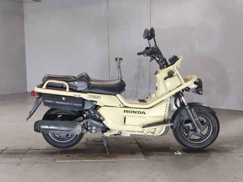 Honda PS250 Big Ruckus