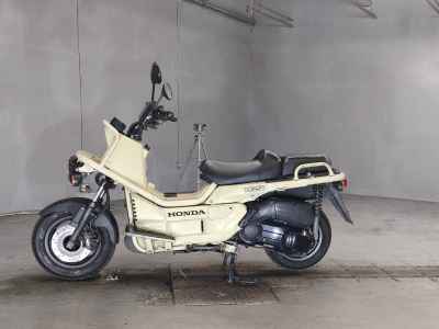 Honda PS250 Big Ruckus