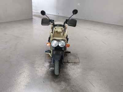 Honda PS250 Big Ruckus