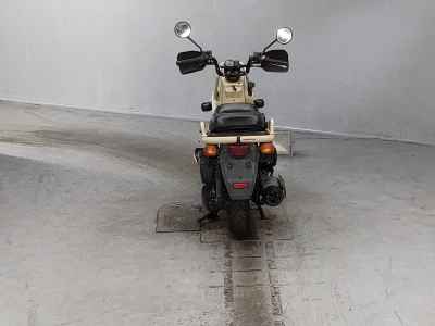 Honda PS250 Big Ruckus