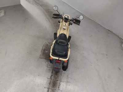 Honda PS250 Big Ruckus