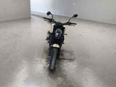 Benelli Leoncino 250 2022