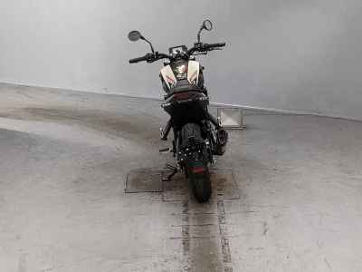 Benelli Leoncino 250 2022