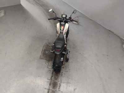 Benelli Leoncino 250 2022
