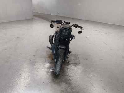 Honda Rebel CMX250 2023