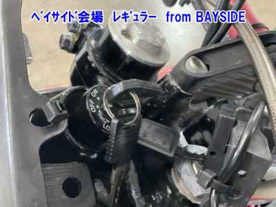 Kawasaki D-Tracker 250 X