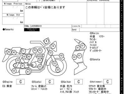 Kawasaki D-Tracker 250 X