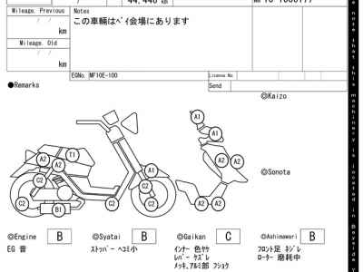 Honda Forza Z