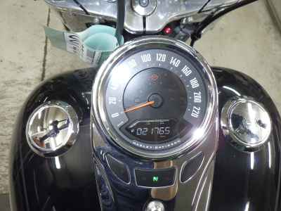 Harley-Davidson FLDE1750 2020