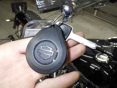 Harley-Davidson FLDE1750 2020