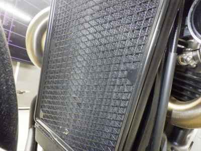 Triumph Scrambler 900 2023