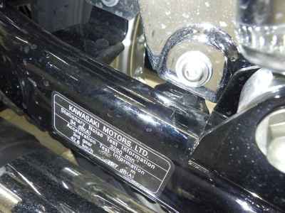 Kawasaki W800 2024