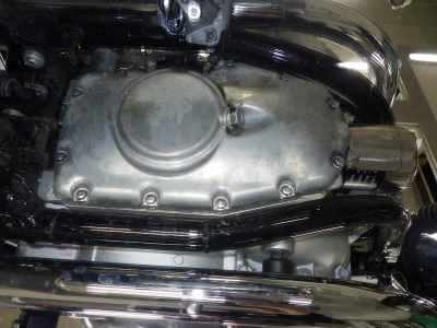 Kawasaki W800 2024