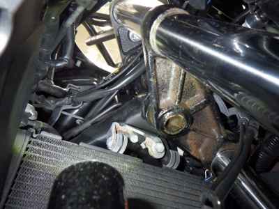 Honda NM4 2019