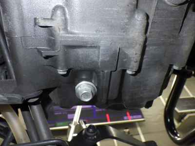 Honda Rebel CMX250 2023