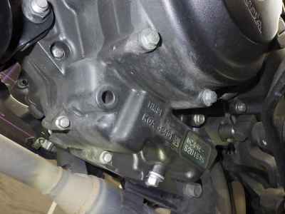 Honda Rebel CMX250 2023